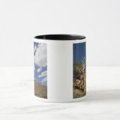 Mug Pin Bristlecone dans l'Ancient Bristlecone Forest, (Centre)