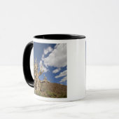 Mug Pin Bristlecone dans l'Ancient Bristlecone Forest, (Devant gauche)
