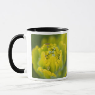 Mug Pinceau doré indien Castilleja 2