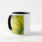 Mug Pinceau doré indien Castilleja 2 (Devant gauche)