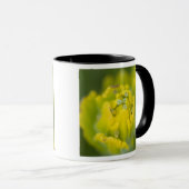 Mug Pinceau doré indien Castilleja 2 (Devant droit)