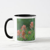 Mug Pinceau indien, Castilleja miniata, Ouray, (Gauche)