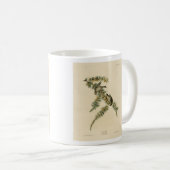 Mug Pine Finch (Pine Siskin), Audubon Birds of America (Devant droit)