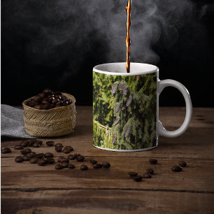 Mug Pinecones