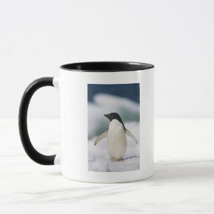 Mug Pingouin d'Adelie, plan rapproché