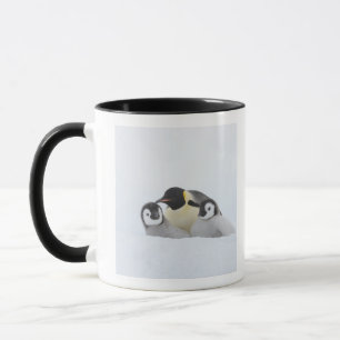 Mug Pingouin d'empereur (forsteri d'Aptenodytes) 2
