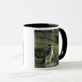 Mug Pingouin magellanique (Spheniscus magellanicus), (Devant droit)