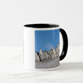 Mug Pingouins | Pygoscelis Antarctique (Devant droit)