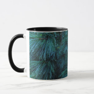 Mug Pins rustiques pinède conifères verts
