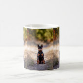 Mug Pinscher Nain Assis (Centre)