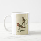 Mug Pinson américain de Chambre (Gauche)