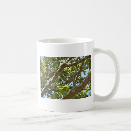 Mug Pinson des arbres (Droite)