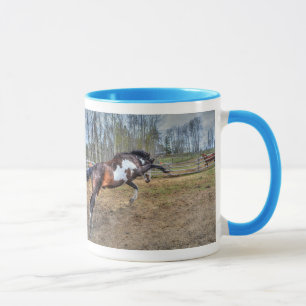 Mug Pinto Stallion équine photo d'action