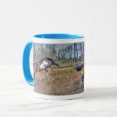 Mug Pinto Stallion équine photo d'action (Devant gauche)