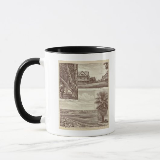 Mug Pioneer Land Co. tractée, Porterville (Gauche)