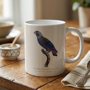 Mug Pionus sombre, Pionus fuscus