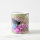 Mug Pipevine Swallowtail sur Buddleia de David (Centre)