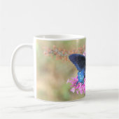 Mug Pipevine Swallowtail sur Buddleia de David (Gauche)