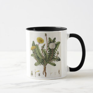 Mug Pissenlit (gravure de couleur)