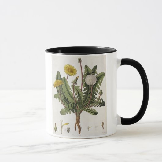Mug Pissenlit (gravure de couleur) (Droite)