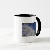 Mug Pissenlits (Devant droit)