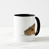 Mug Pisser de crapaud commun ou de crapaud européen (Devant droit)