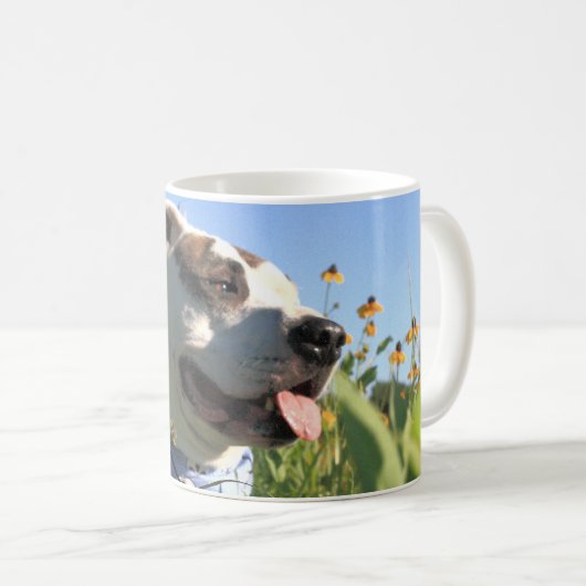 Mug Pit Bull T-Bone Spring (Devant droit)