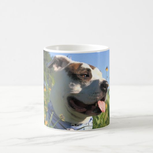 Mug Pit Bull T-Bone Spring (Centre)