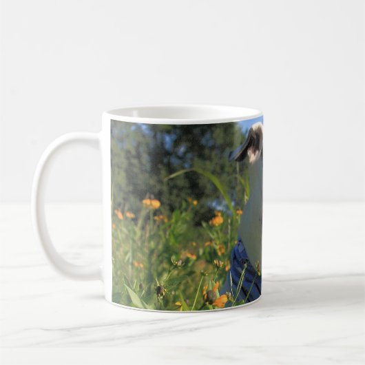 Mug Pit Bull T-Bone Spring (Gauche)
