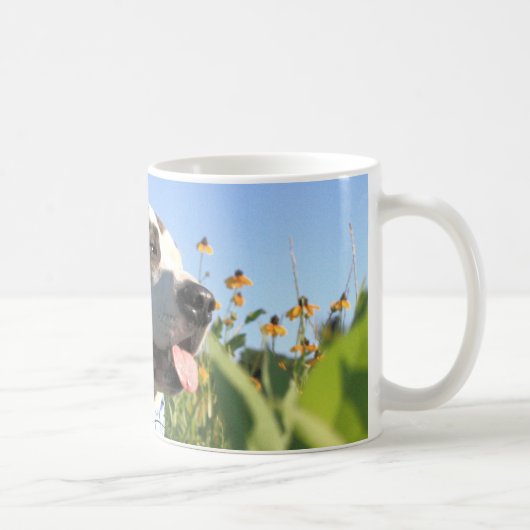 Mug Pit Bull T-Bone Spring (Droite)