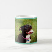 Mug Pitbull (Centre)