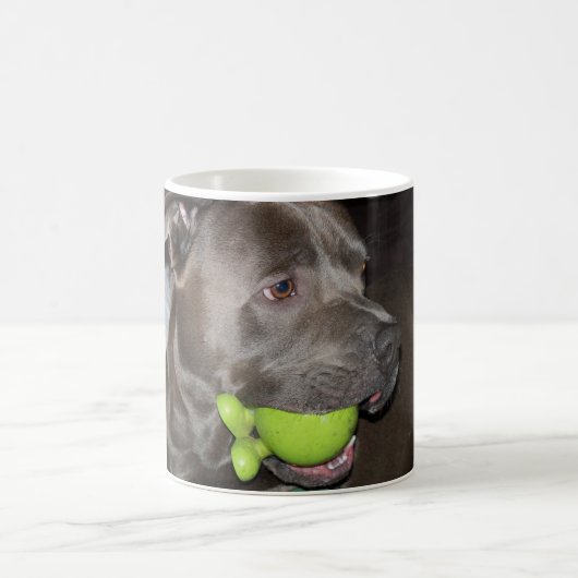 Mug Pitbull avec balle verte, amoureux des chiens (Centre)
