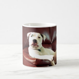 Mug pitbull blanc drôle sur le canapé
