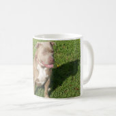 Mug Pitbull paisible (Devant droit)