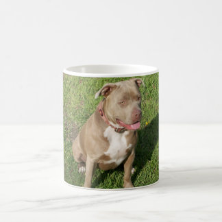 Mug Pitbull paisible