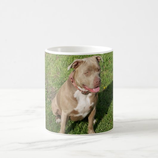 Mug Pitbull paisible (Centre)