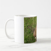 Mug Pitbull paisible (Gauche)