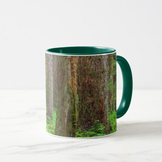 Mug Pittoresque de forêt ancienne (Devant droit)