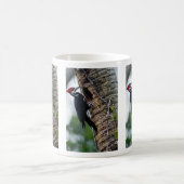 Mug Pivert de Pileated (Centre)