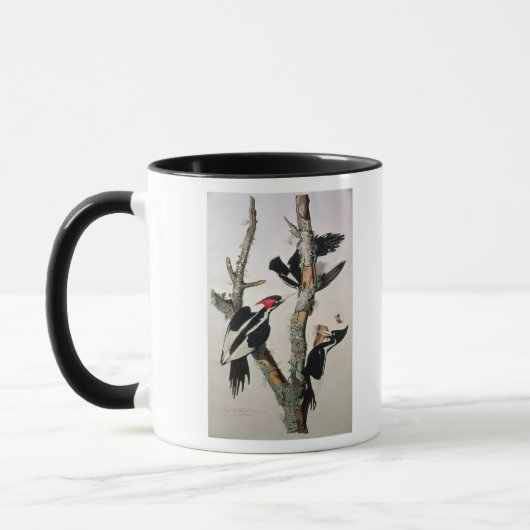 Mug pivert Ivoire-affiché, des 'oiseaux d'America (Gauche)