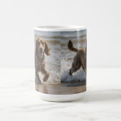 Mug "Plaisir de bord de mer : Un Cocker Spaniel Play d (Centre)