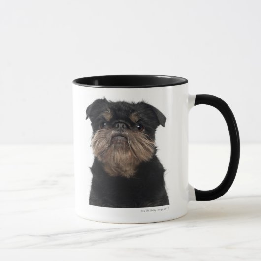 Mug Plan rapproché de Bruxellois de griffon (Droite)