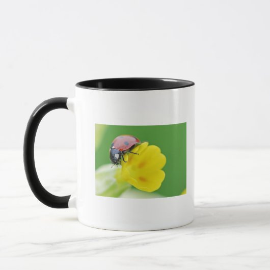 Mug Plan rapproché de coccinelle (Gauche)