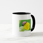 Mug Plan rapproché de coccinelle (Devant droit)