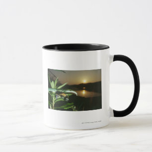 Mug Plan rapproché de papillon sur la feuille au