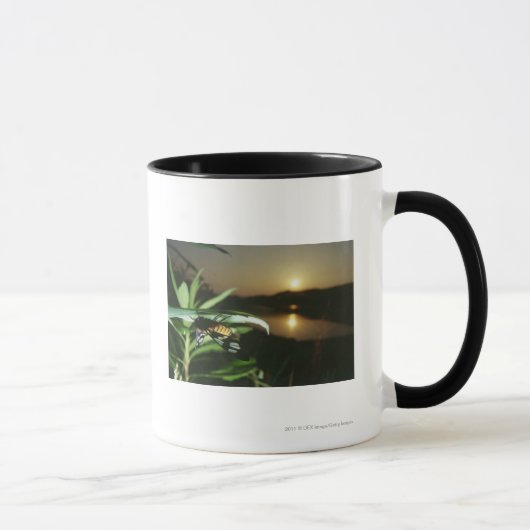 Mug Plan rapproché de papillon sur la feuille au (Droite)