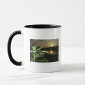 Mug Plan rapproché de papillon sur la feuille au (Gauche)