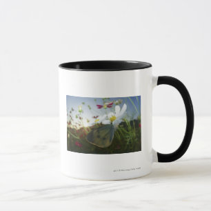 Mug Plan rapproché de papillon sur la fleur