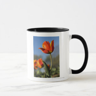 Mug Plan rapproché des fleurs de tulipe