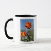 Mug Plan rapproché des fleurs de tulipe (Gauche)